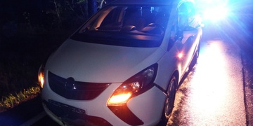 Strom spadl přímo před auto