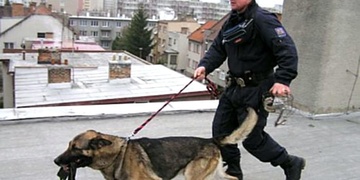 DRZOST ZLODĚJŮ NEZNÁ MEZÍ - CHYTALI HO NA STŘEŠE