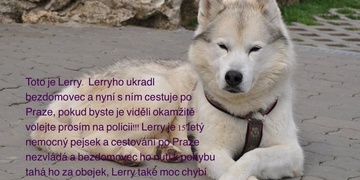 Lery se našel! Blahopřejeme!