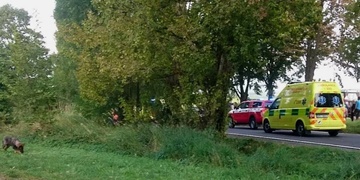 Cyklista srážku s autem nepřežil a řidič z místa ujel!
