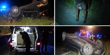 Vážná dopravní nehoda, řidič byl pod vlivem drog a bez řidičáku