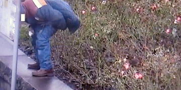 Tak z toho se i velmi zkušené obsluze městského kamerového systému chtělo zvracet