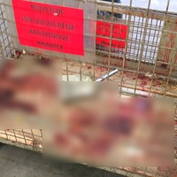 Muž si v továrně nožem podřízl krk i ruce