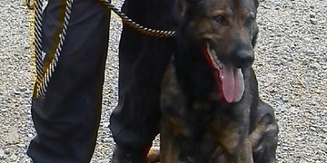 Hejtman včera ocenil úspěšné policisty