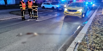 Seniorka nehodu nepřežila