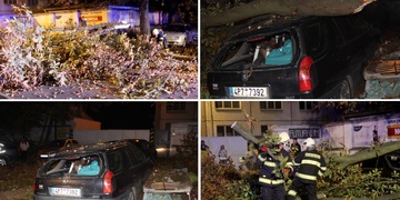 Vzrostlý strom se v centru Plzně zřítil na auta