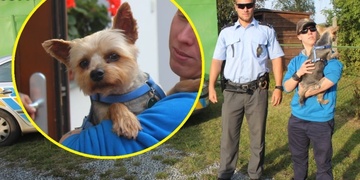Jediný nezraněný při tragické nehodě byl Simírek – co ho čeká?