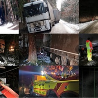 Souprava řízená vybodovaným řidičem zabloudila do lesa